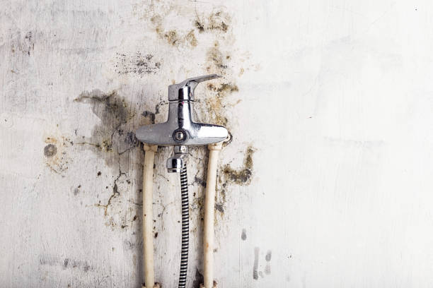 Best Emergency Mold Removal  in Lowell, MA