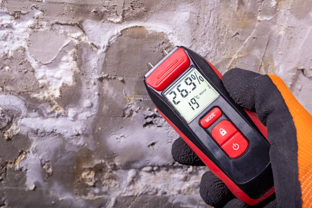 Best Affordable Mold Removal  in Lowell, MA