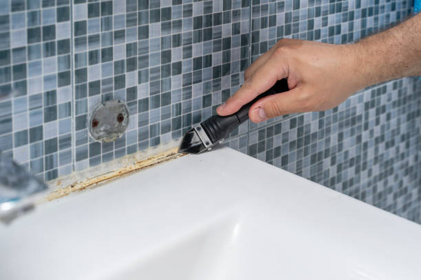 Best Office Mold Removal Services  in Lowell, MA